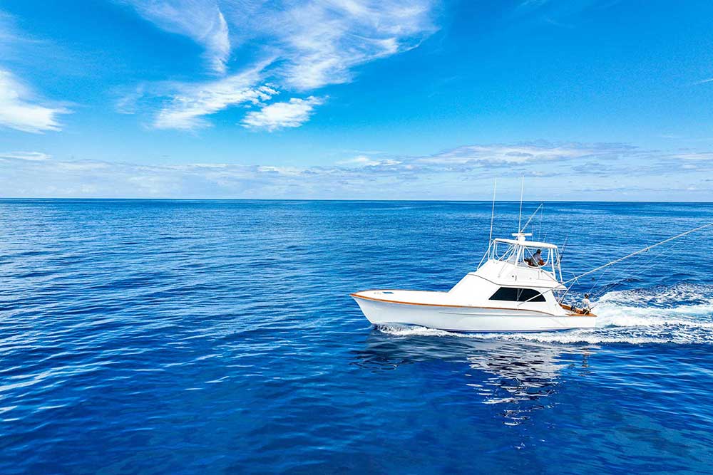 sea-mount-trips-costa-rica sea-mount-trips-costa-rica